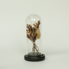 Glass bottle with dried flowers, glass decorations, glass dome with flower KML81010